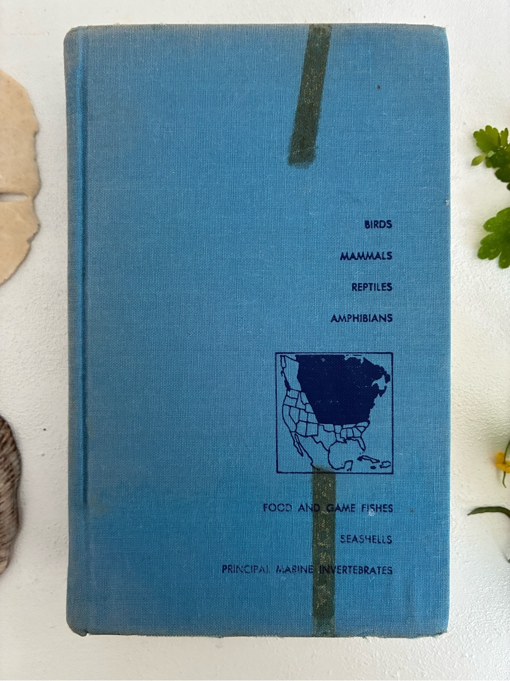 Complete Field Guide To American Wildlife by Henry Hill Collins, Jr. 1959